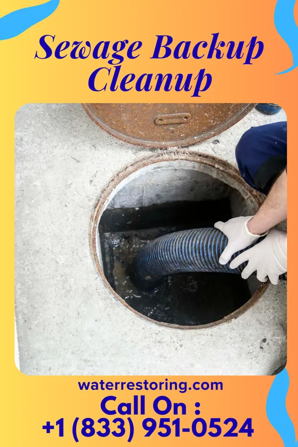 Sewage Backup Cleanup in Lake Waukomis, MO